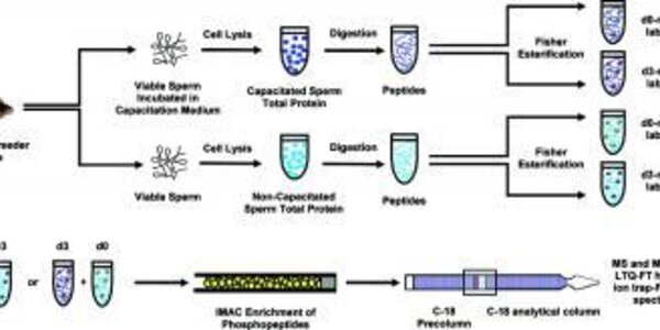 Article teaser image