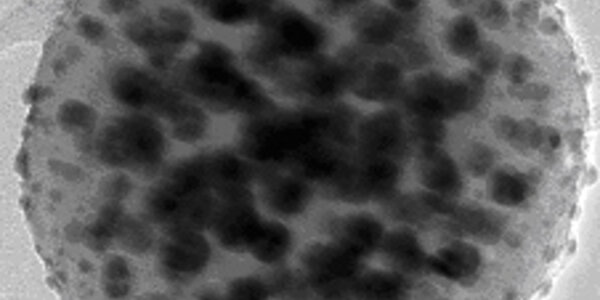 Article teaser image