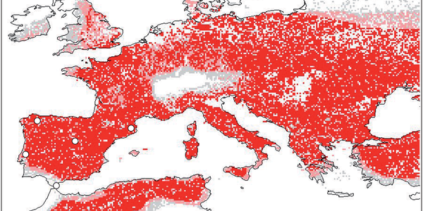 Article teaser image