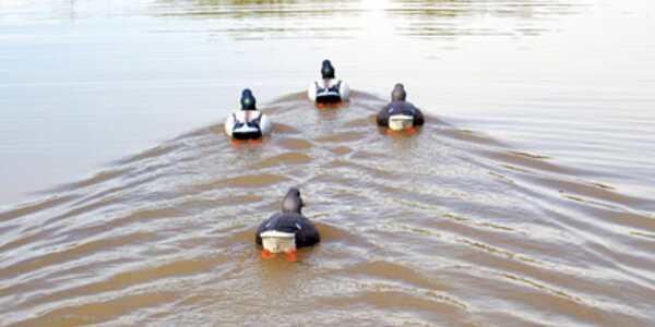 Article teaser image