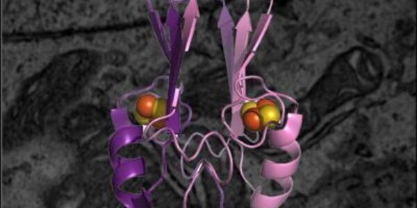 Article teaser image