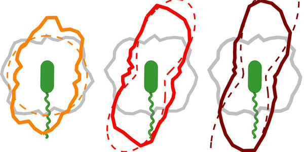 Article teaser image