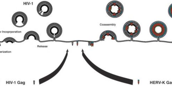 Article teaser image