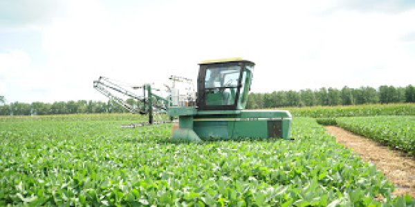 Is It Immoral To Oppose The Use Of Pesticides?