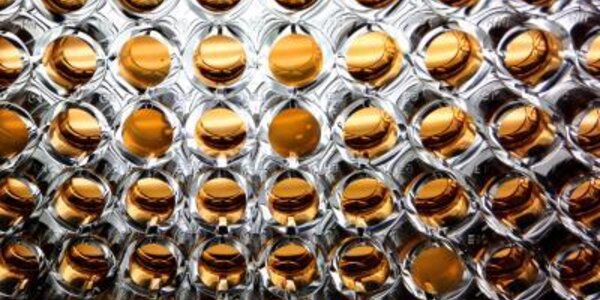 Article teaser image