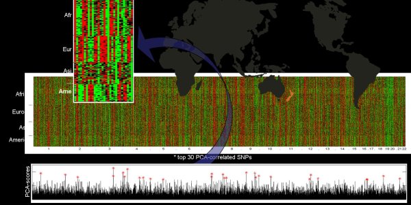 Software Program Traces Ancestry Using Anonymous DNA Samples