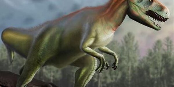 Article teaser image