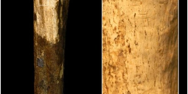 Article teaser image