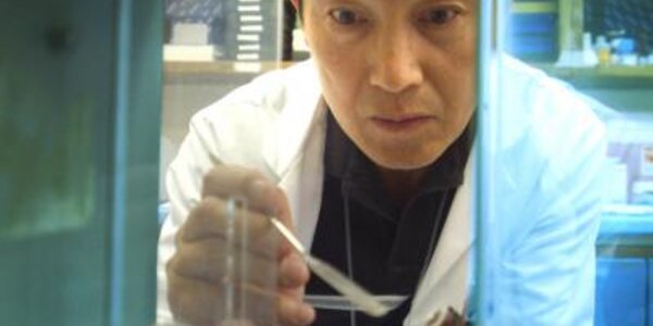 Article teaser image