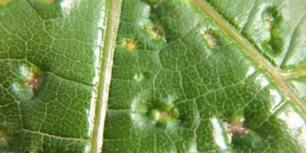 Article teaser image