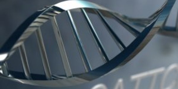 Why The Young Get More Infections Than Adults - Evolution