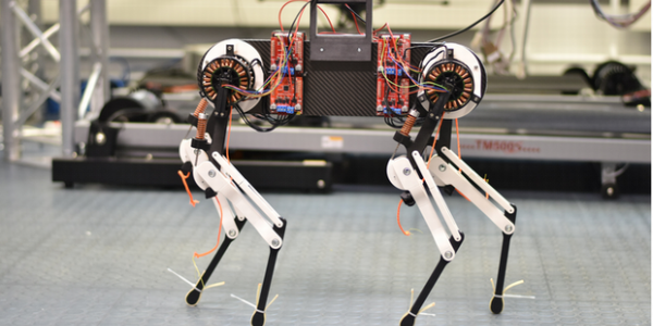 Morti The Robot Dog: Like A Newborn Animal, It Can't Walk Right Away - But An Hour Later It Did