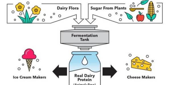 Perfect Day Sold Out Of Its GMO Cell-Based Ice Cream In Hours - At $20 A Pint