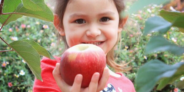 Climate Shifts May Bring New Apple Growing Areas - article teaser image