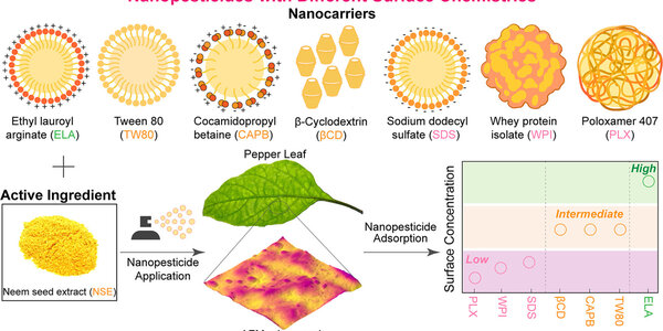 Nanopesticides May Be In Our Organic Farming Future - article teaser image