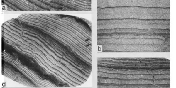 An Earth Day Should Be 60 Hours Long - Here's Why It Never Happened - article teaser image