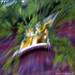 Profile picture for user N Sukumar
