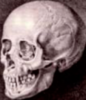 Profile picture for user STEWARTW