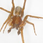 Article teaser image