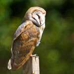 Article teaser image