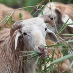 Article teaser image