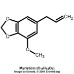 Article teaser image