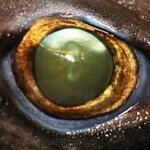 Article teaser image