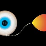 Article teaser image