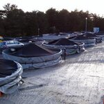 Article teaser image