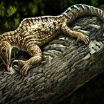 Article teaser image