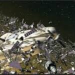 Article teaser image