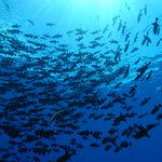 Article teaser image