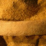 Article teaser image