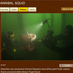 Article teaser image