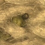 Article teaser image