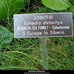 Article teaser image