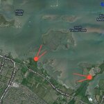 Article teaser image