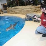 Article teaser image