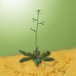 Article teaser image