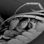 Article teaser image