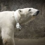 Article teaser image