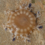 Article teaser image