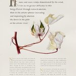 Article teaser image