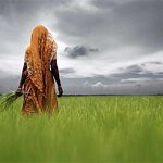 Article teaser image