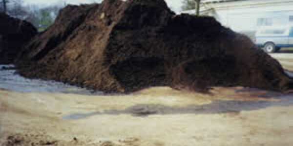 Article teaser image