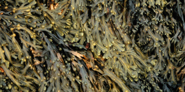 Article teaser image