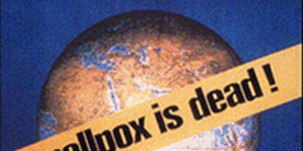 Article teaser image