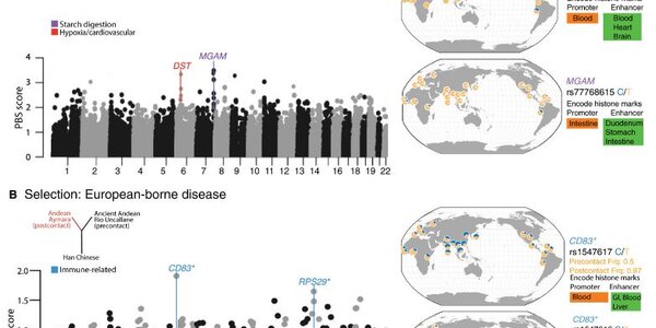 Article teaser image