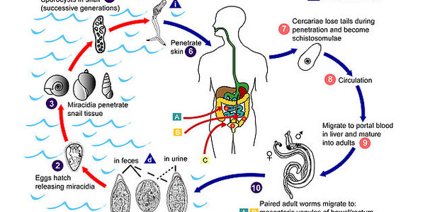 Article teaser image