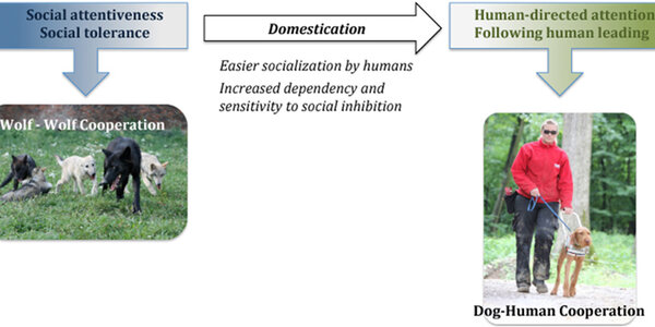 Article teaser image